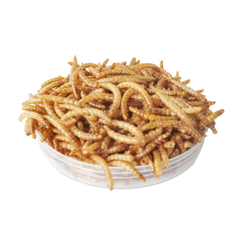 Food Protein Snacks - Hochprotein-Snacks für Hamster, Vögel, Igel, Meerschweinchen,
