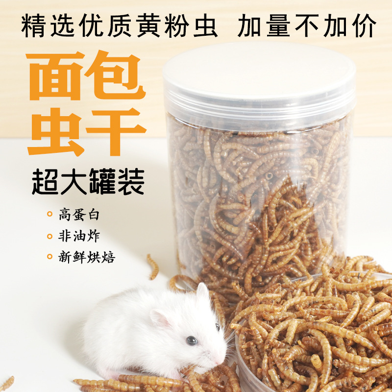 Hochprotein-Snacks für Hamster – Food Protein Snacks Bewertung und Preis